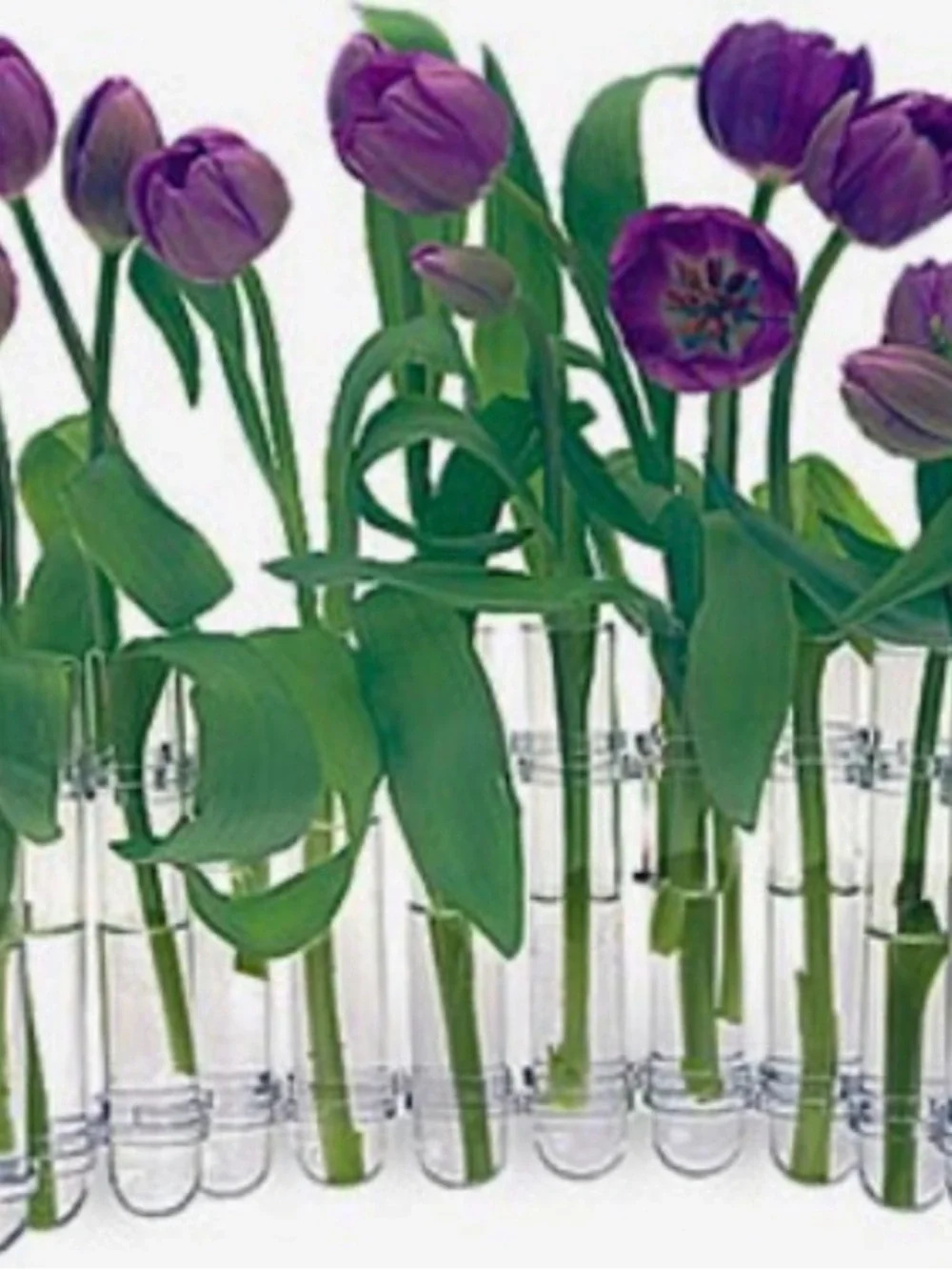 Vintage “Flex Vase” 12 tube set NIB